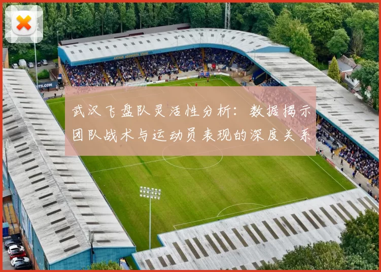 武汉飞盘队灵活性分析：数据揭示团队战术与运动员表现的深度关系