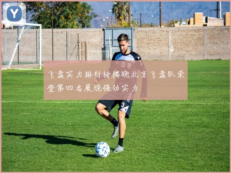 飞盘实力排行榜揭晓北京飞盘队荣登第四名展现强劲实力