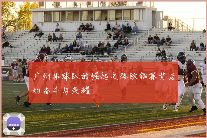 广州排球队的崛起之路欧锦赛背后的奋斗与荣耀