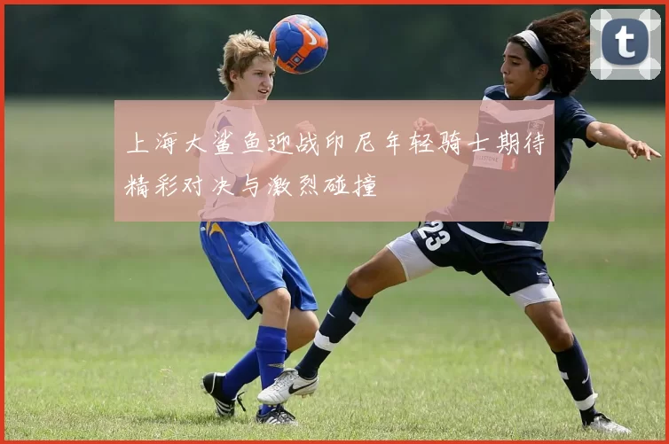 上海大鲨鱼迎战印尼年轻骑士期待精彩对决与激烈碰撞