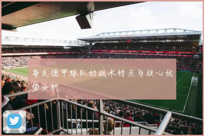 每支德甲球队的战术特点与核心优势分析